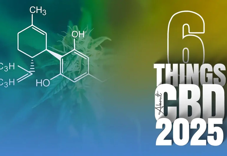 6 Things We Learned About CBD in 2025