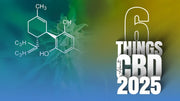6 Things We Learned About CBD in 2025