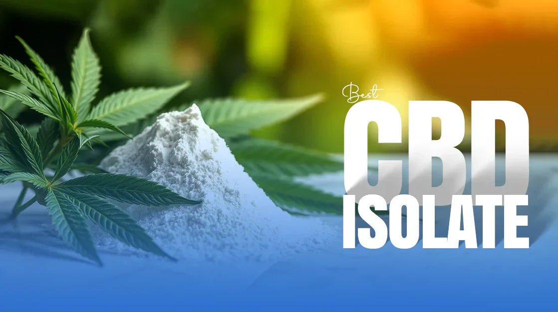 What Is CBD Isolate Powder? – How To Choose The Best CBD Isolate Near Me?