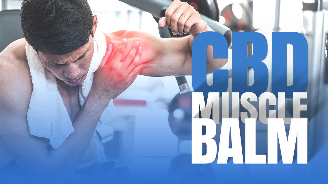 CBD Muscle Balm - How To Apply CBD Balm For Muscles?