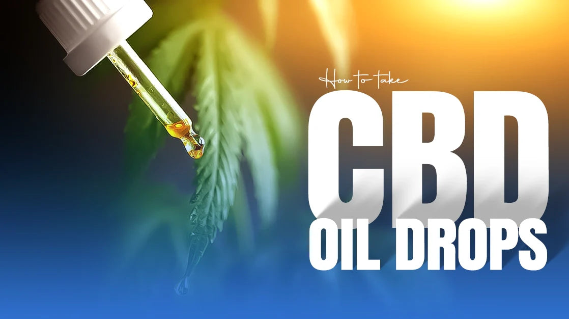 CBD Oil Drops - How To Take CBD Drops?